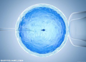 慈安中西医结合试管中心